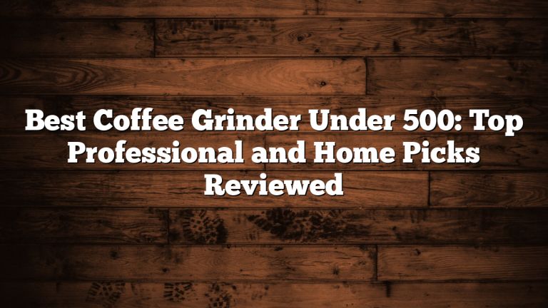 Best Coffee Grinder Under 500: Top Professional and Home Picks Reviewed