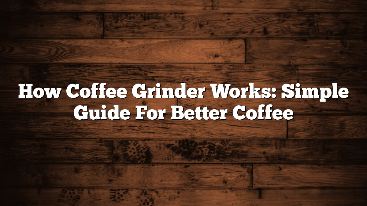How Coffee Grinder Works: Simple Guide For Better Coffee