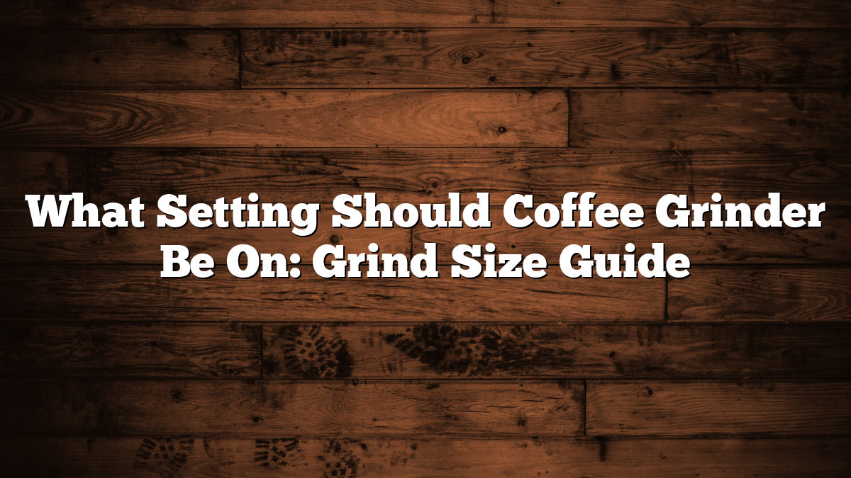 What Setting Should Coffee Grinder Be On: Grind Size Guide